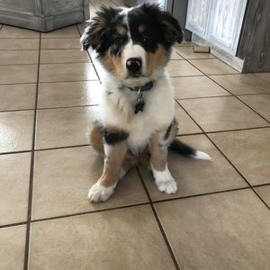 Meet your Posher, Marc-andré